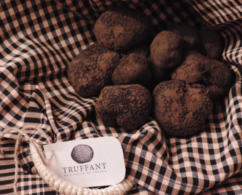 WhatsApp Image 2026-02-20 at 10.05.41