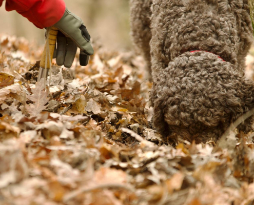 hsm9IE-V7UvNZFcP8nOmG2k9nDzZM4tpkaVh8gViw_zDGkgi7RIG_s8i7eM_6NBBJlaCSoaJX8sBzWOtkNduWl68pPPxNxwOvfJhEOgCS-c