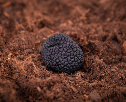 qfAkvOaP20Q_yefRe8lNQwNLb0aCzIoHALzcTVc-Pj412TCsdRyn8Int_2S_1vwTAazmEhUsYuLZF3m7y3QI-XEK_ca539xWog0WeRFWRbY