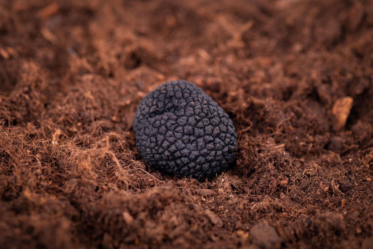 qfAkvOaP20Q_yefRe8lNQwNLb0aCzIoHALzcTVc-Pj412TCsdRyn8Int_2S_1vwTAazmEhUsYuLZF3m7y3QI-XEK_ca539xWog0WeRFWRbY